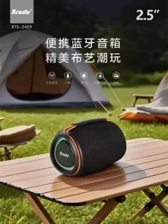 اسپیکر بلوتوثی برودو مدل BTS-2409